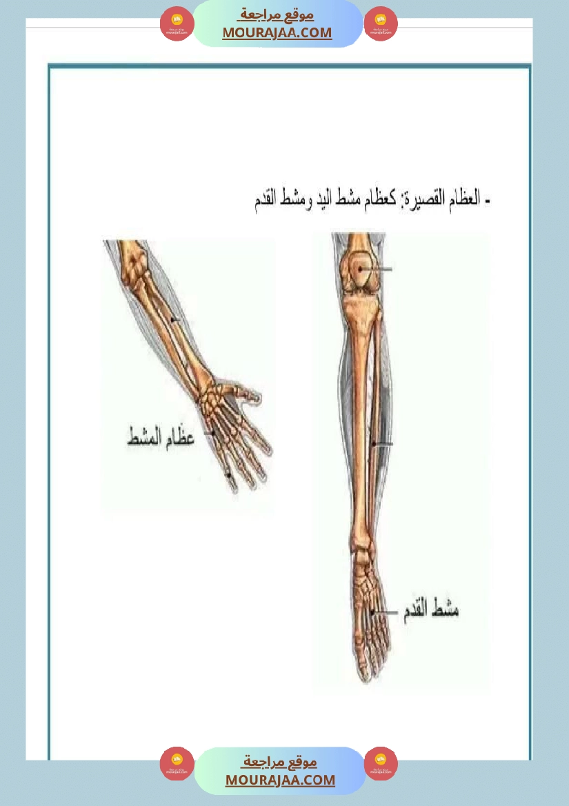 سنة خامسة ملخصات ايقاظ علمي خرائط ذهنية صفحة 6