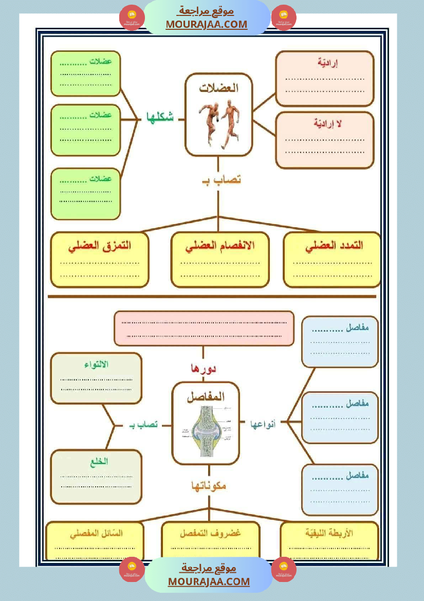 سنة خامسة ملخصات ايقاظ علمي خرائط ذهنية