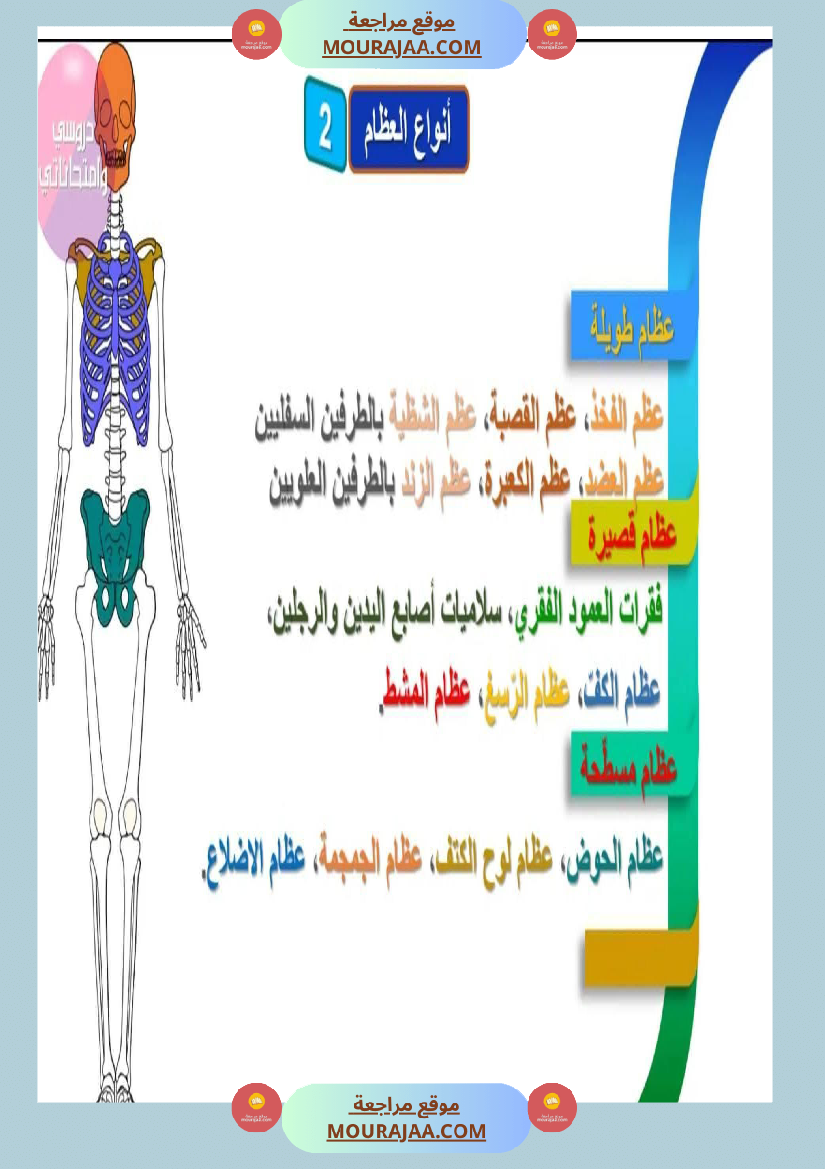 سنة خامسة ملخصات ايقاظ علمي خرائط ذهنية