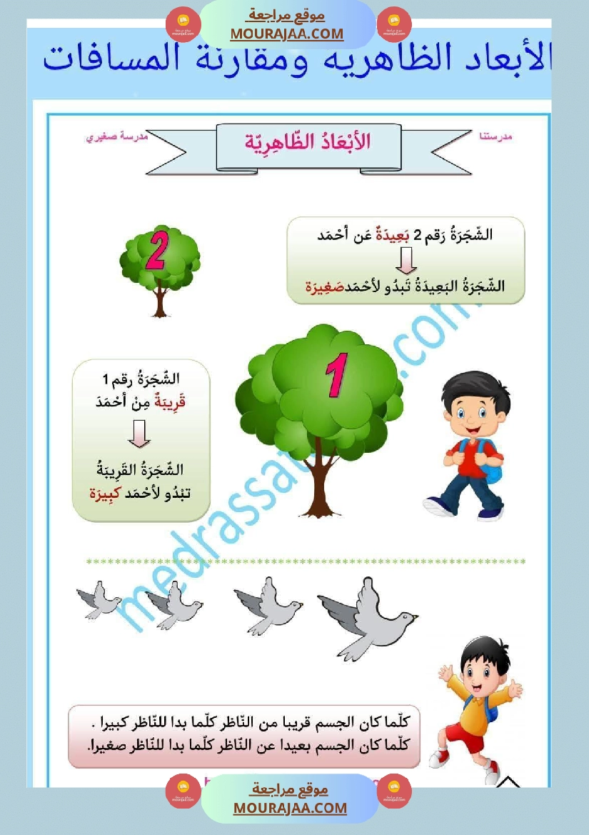 السنة الثانية الأبعاد الظاهرية صفحة 4