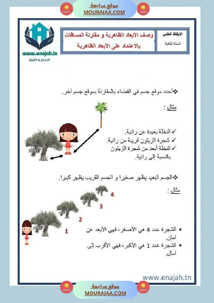 السنة الثانية إيقاظ علمي الأبعاد الظاهرية للأجسام صفحة 3