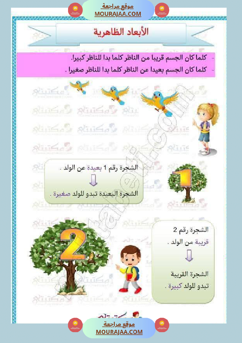 السنة الثانية إيقاظ علمي الأبعاد الظاهرية للأجسام