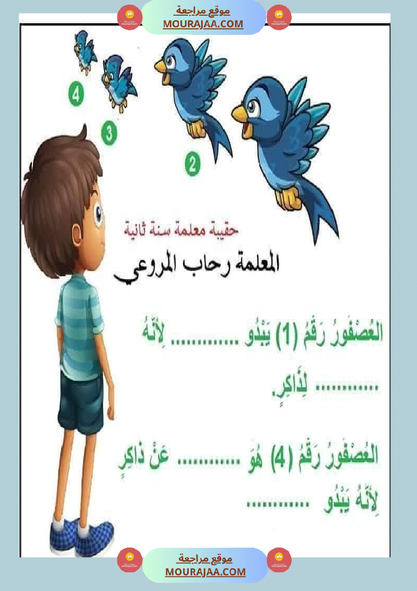 السنة الثانية إيقاظ علمي الأبعاد الظاهرية للأجسام