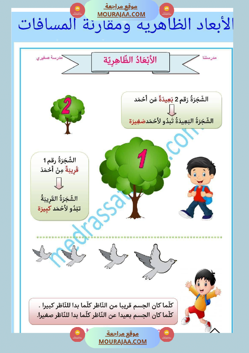 السنة الثانية إيقاظ علمي الأبعاد الظاهرية للأجسام