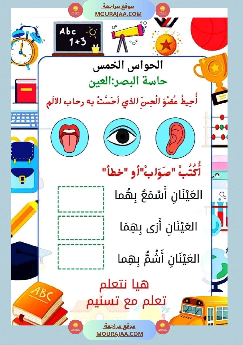 السنة الأولى إيقاظ علمي محور الحواس الخمس صفحة 24