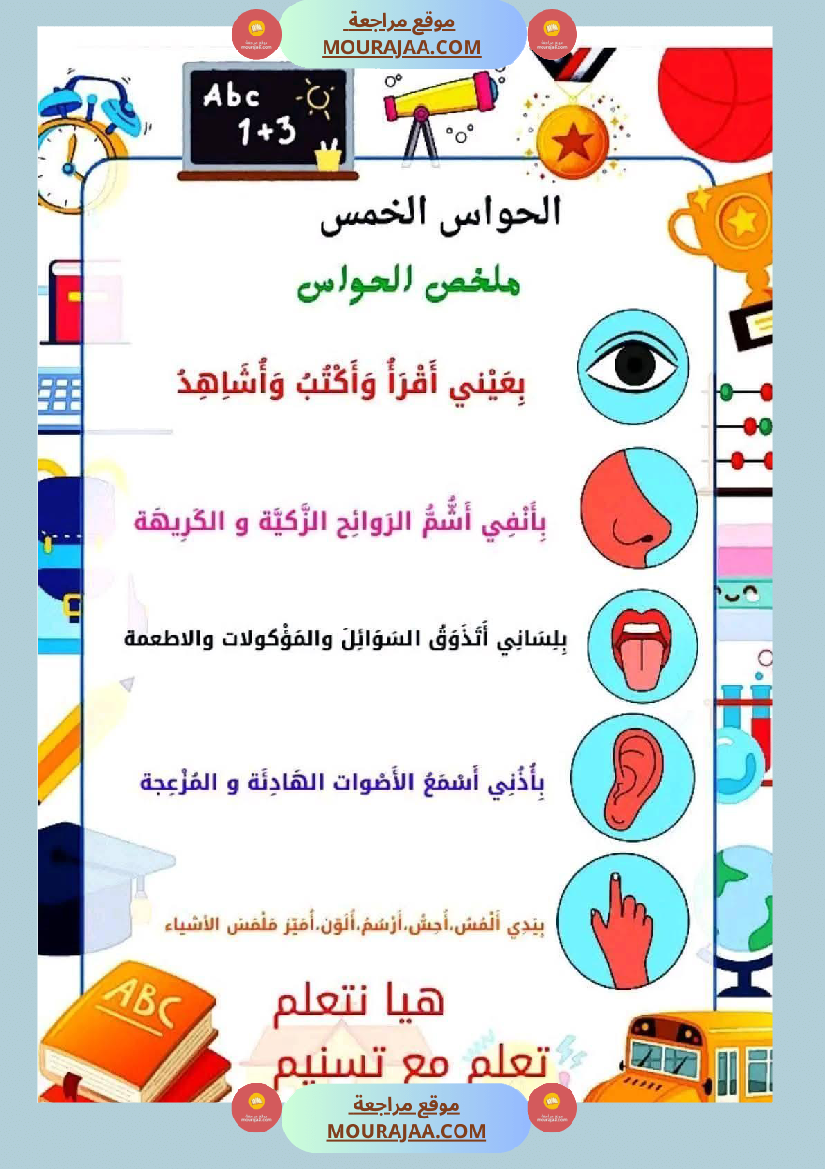 السنة الأولى إيقاظ علمي محور الحواس الخمس
