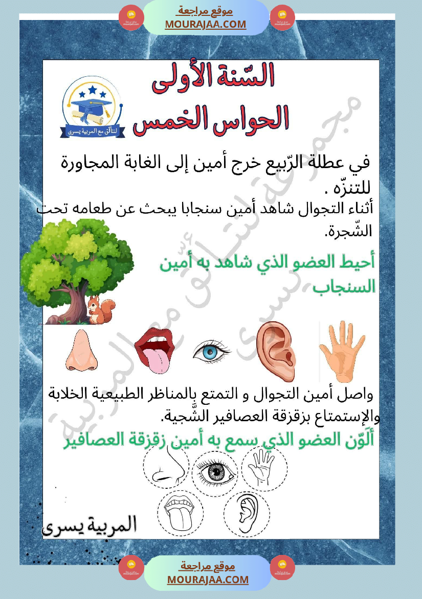 السنة الأولى إيقاظ علمي محور الحواس الخمس