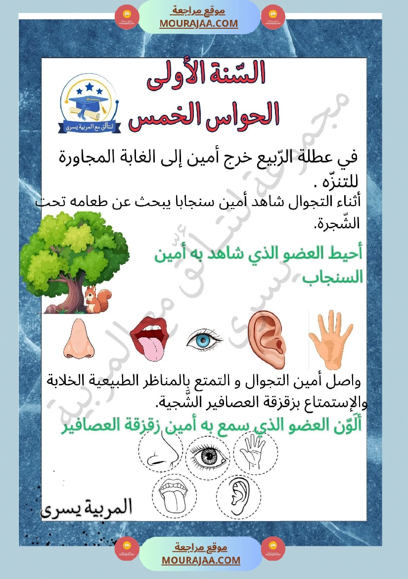 السنة الأولى إيقاظ علمي محور الحواس الخمس