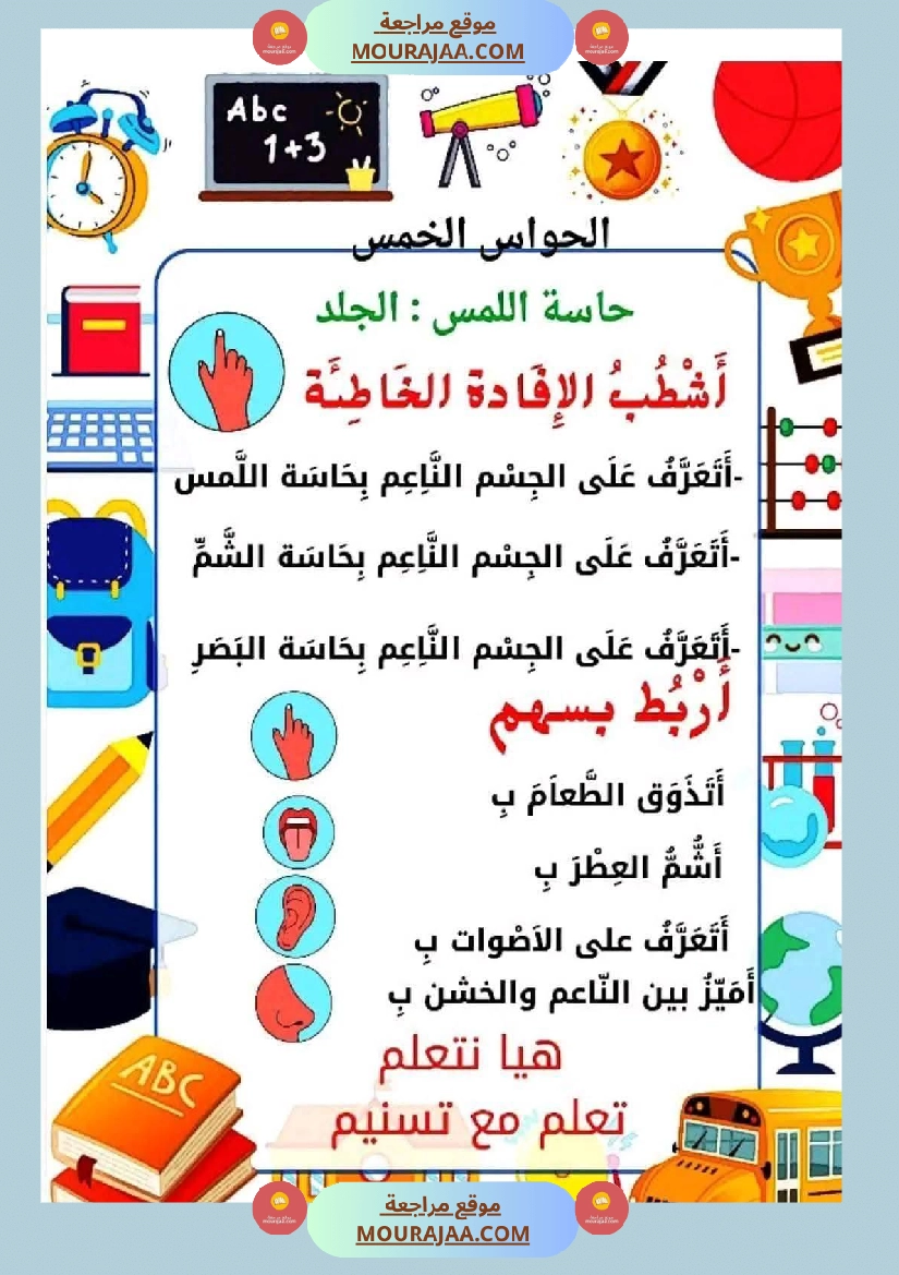 السنة الأولى إيقاظ علمي محور الحواس الخمس صفحة 11