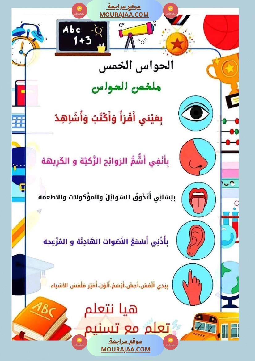 السنة الأولى إيقاظ علمي محور الحواس الخمس صفحة 22