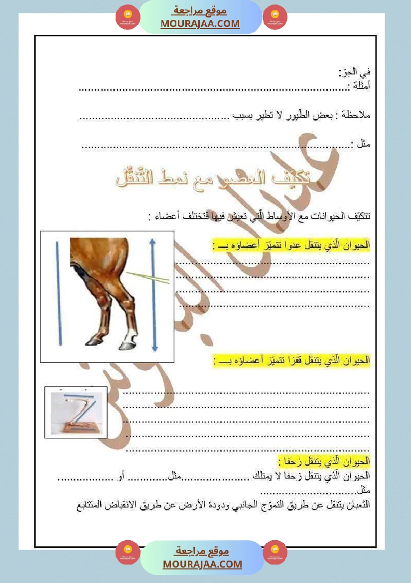 السنة الرابعة ايقاظ علمي الثلاثي الاول مع الاصلاح صفحة 2