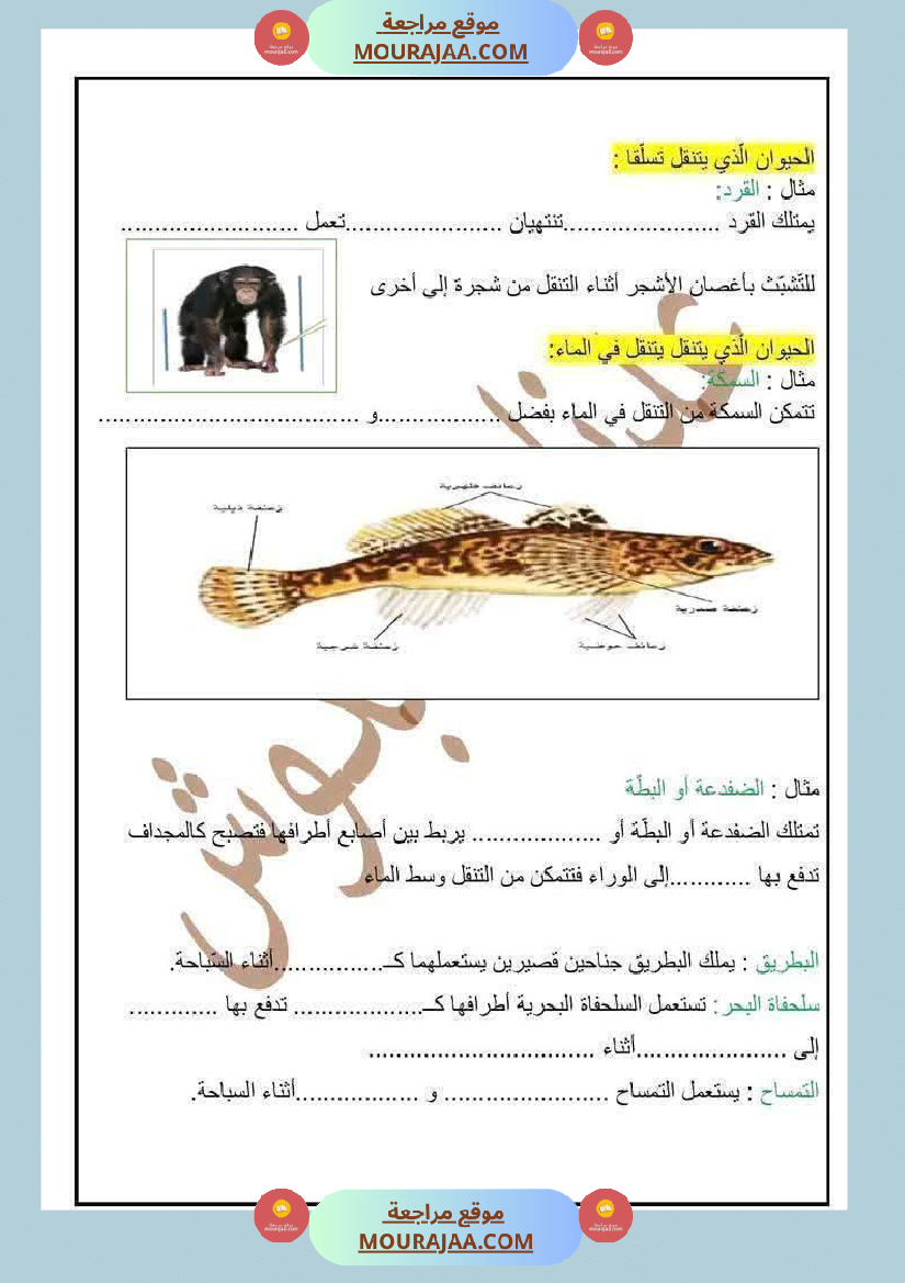 السنة الرابعة ايقاظ علمي الثلاثي الاول مع الاصلاح