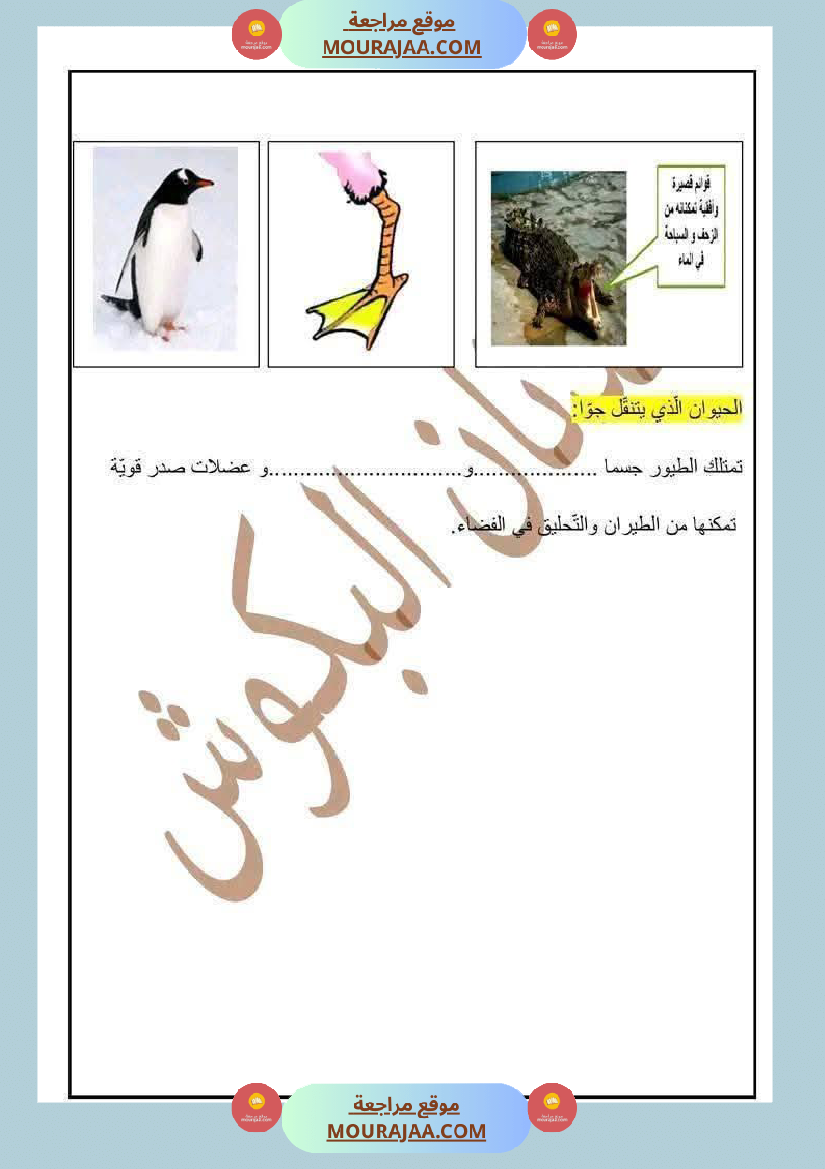 السنة الرابعة ايقاظ علمي الثلاثي الاول مع الاصلاح