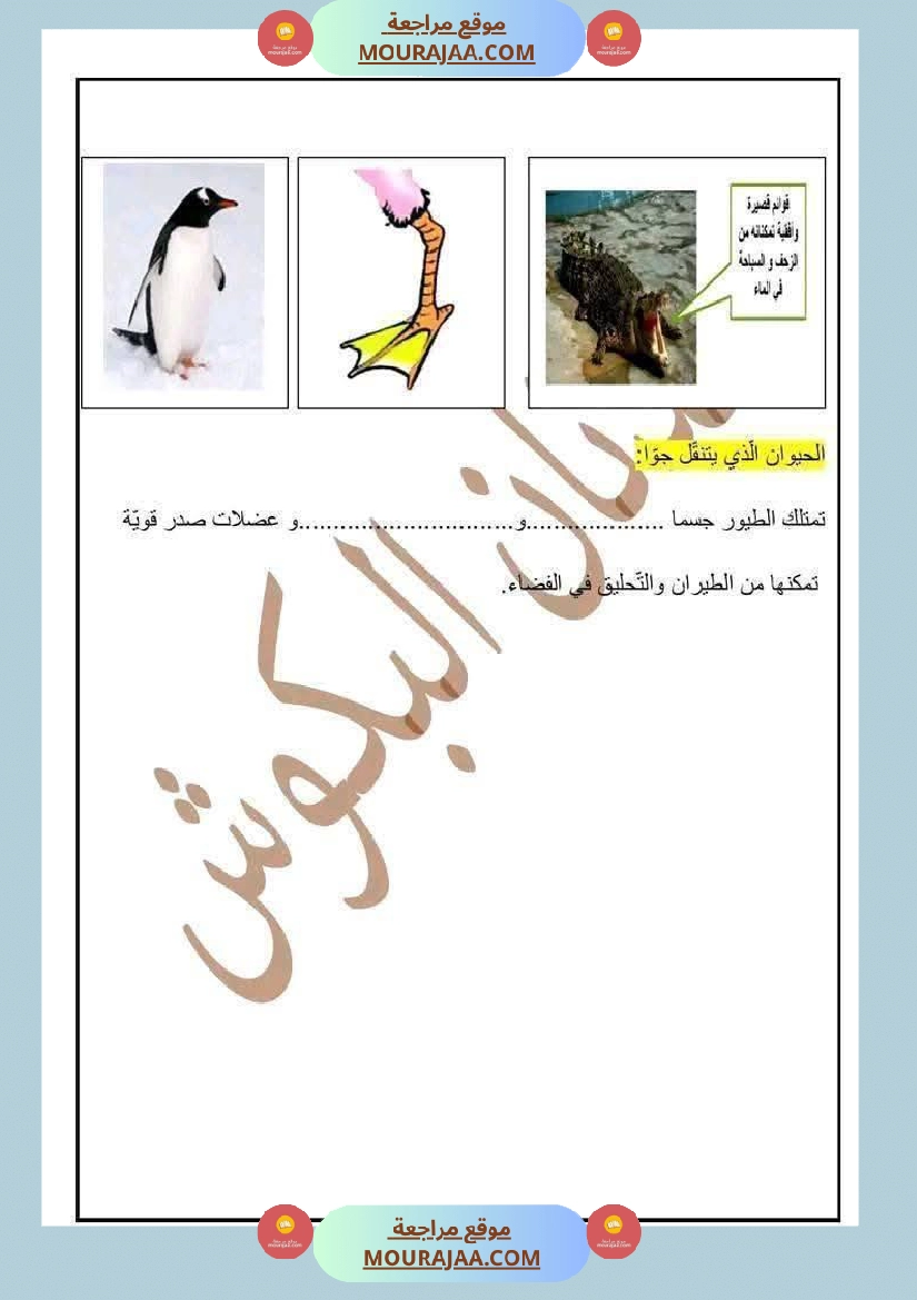 السنة الرابعة ايقاظ علمي الثلاثي الاول مع الاصلاح صفحة 4