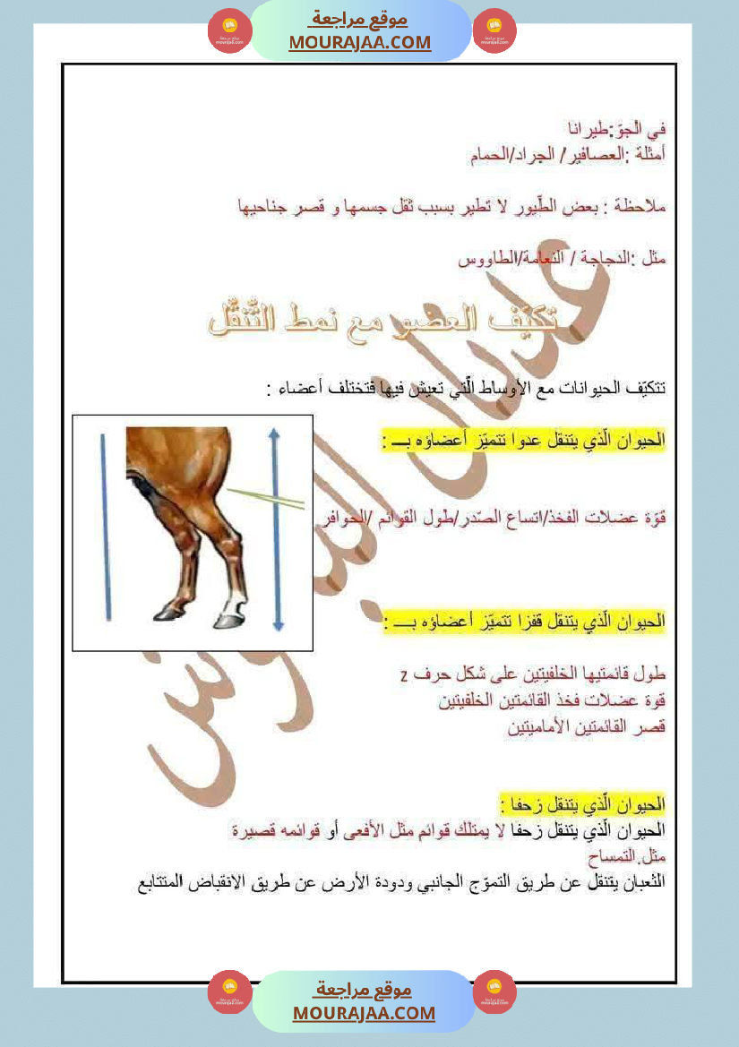 السنة الرابعة ايقاظ علمي الثلاثي الاول مع الاصلاح