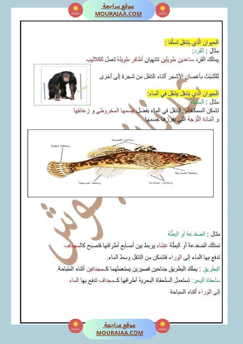 السنة الرابعة ايقاظ علمي الثلاثي الاول مع الاصلاح