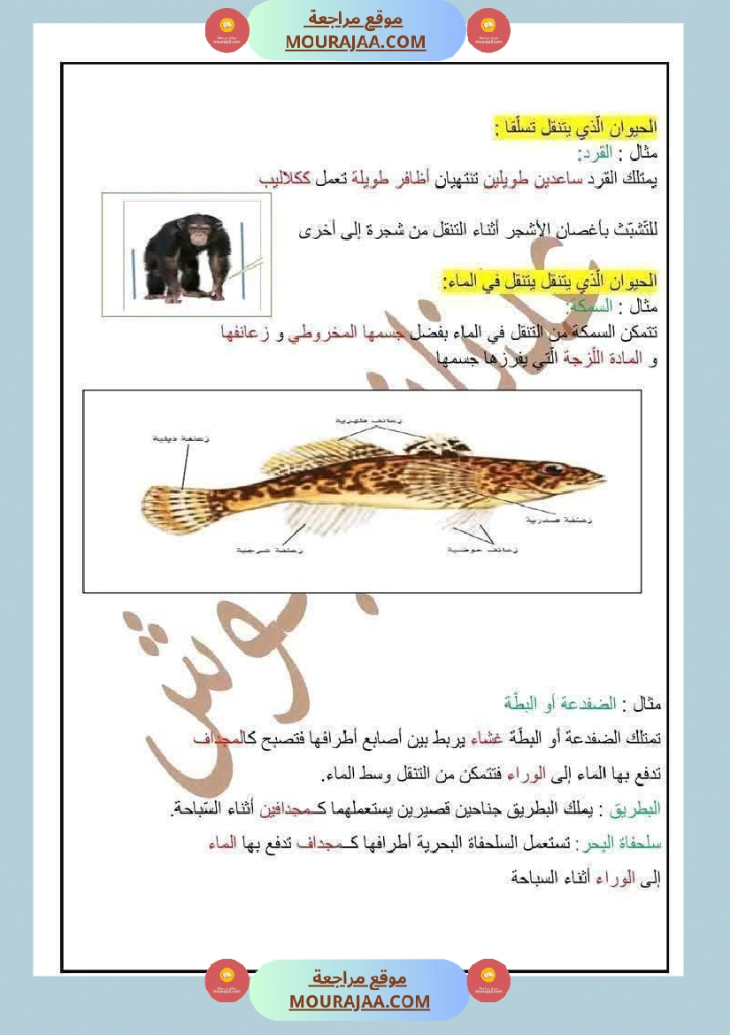 السنة الرابعة ايقاظ علمي الثلاثي الاول مع الاصلاح صفحة 7