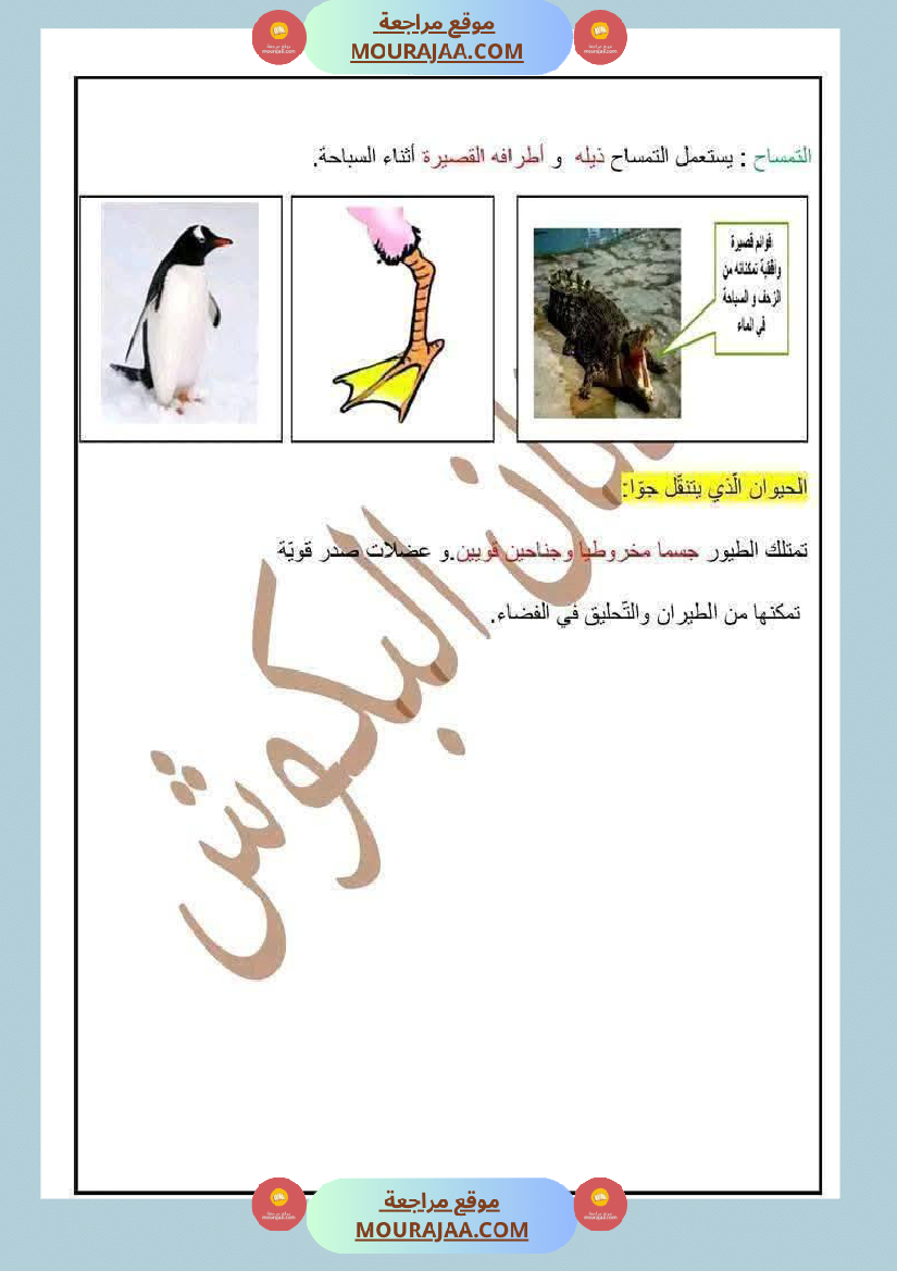 السنة الرابعة ايقاظ علمي الثلاثي الاول مع الاصلاح