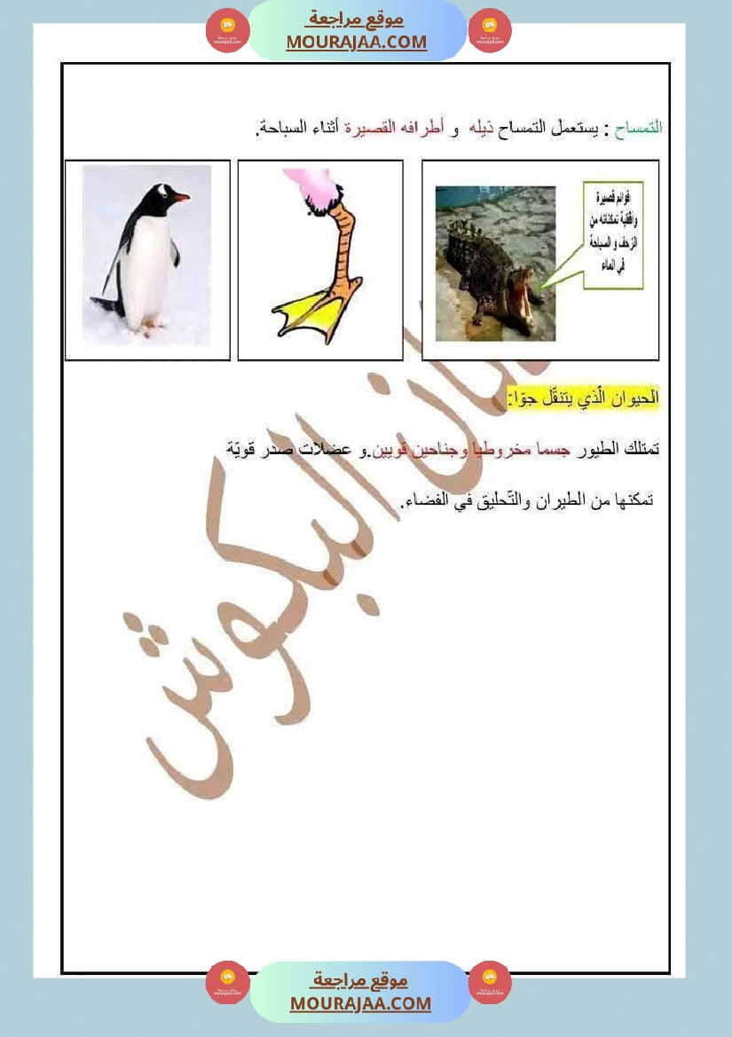 السنة الرابعة ايقاظ علمي الثلاثي الاول مع الاصلاح صفحة 8