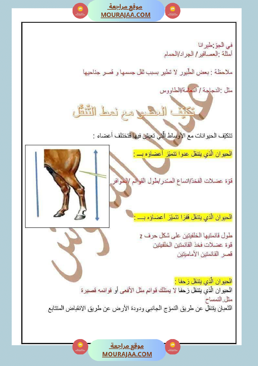 سنة رابعة ايقاظ علمي ثلاثي 1 مع الاصلاح