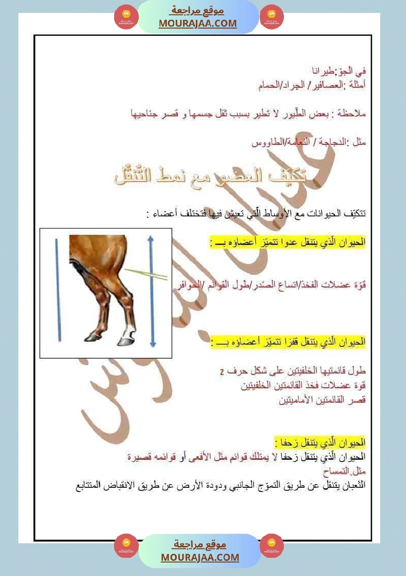 سنة رابعة ايقاظ علمي ثلاثي 1 مع الاصلاح صفحة 7