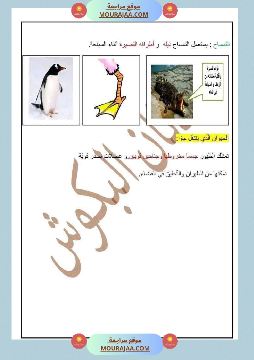 سنة رابعة ايقاظ علمي ثلاثي 1 مع الاصلاح صفحة 9