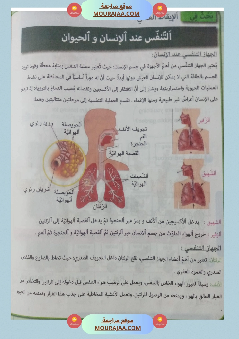 بحوث ايقاظ علمي سنة رابعة