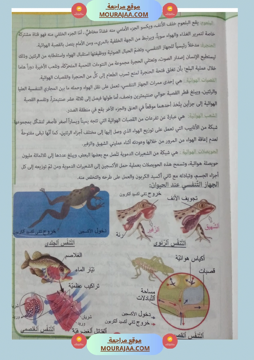 بحوث ايقاظ علمي سنة رابعة صفحة 2