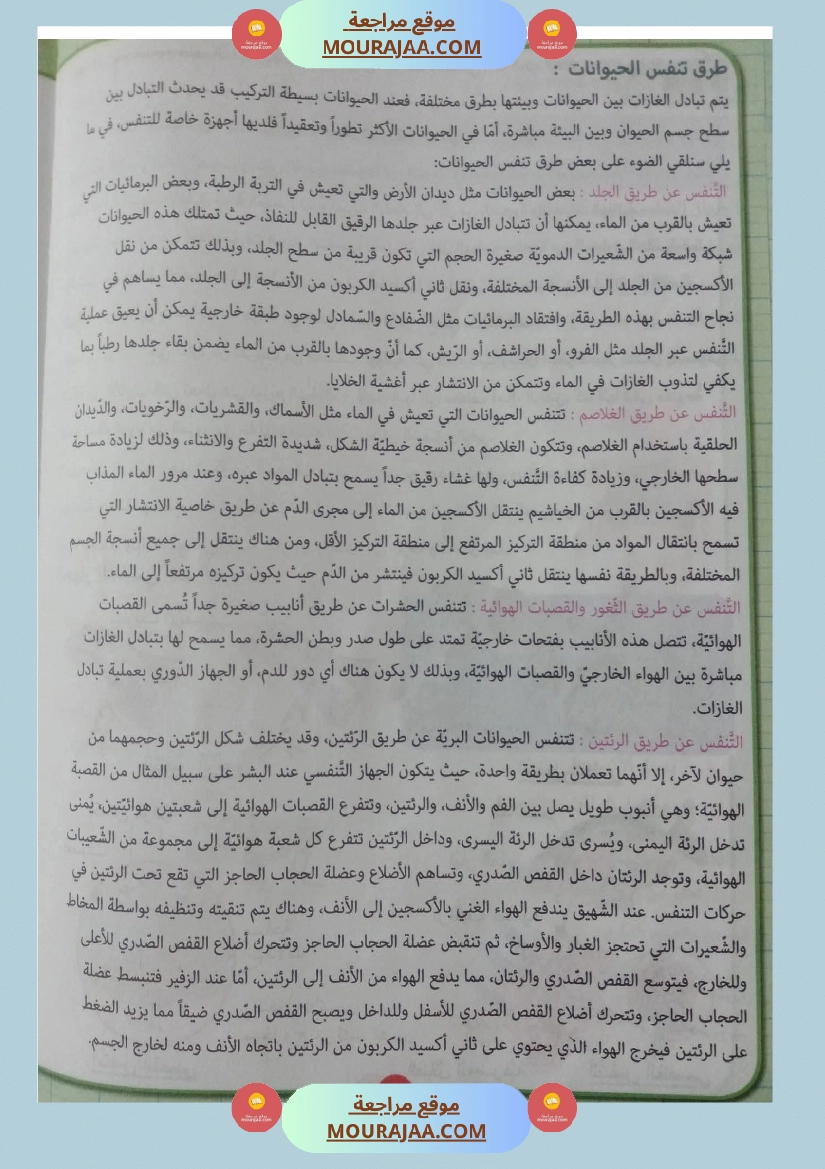 بحوث ايقاظ علمي سنة رابعة صفحة 3