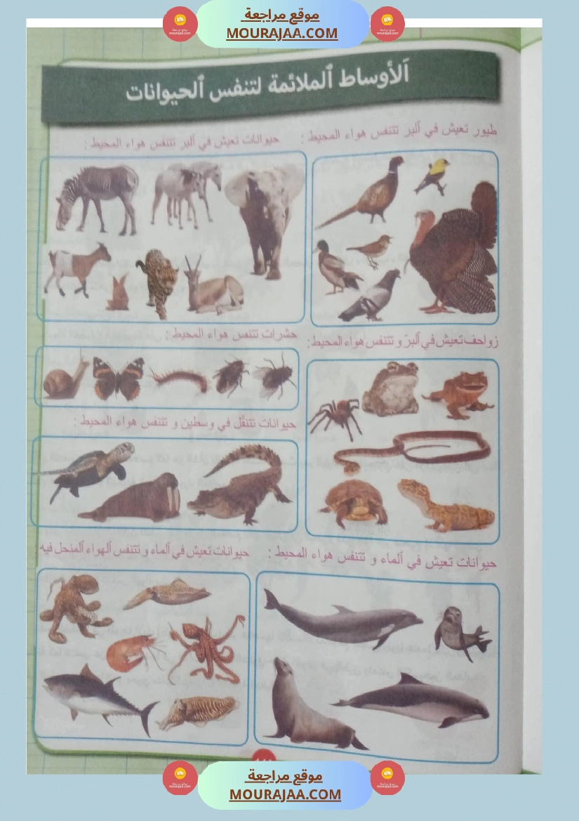 بحوث ايقاظ علمي سنة رابعة صفحة 4