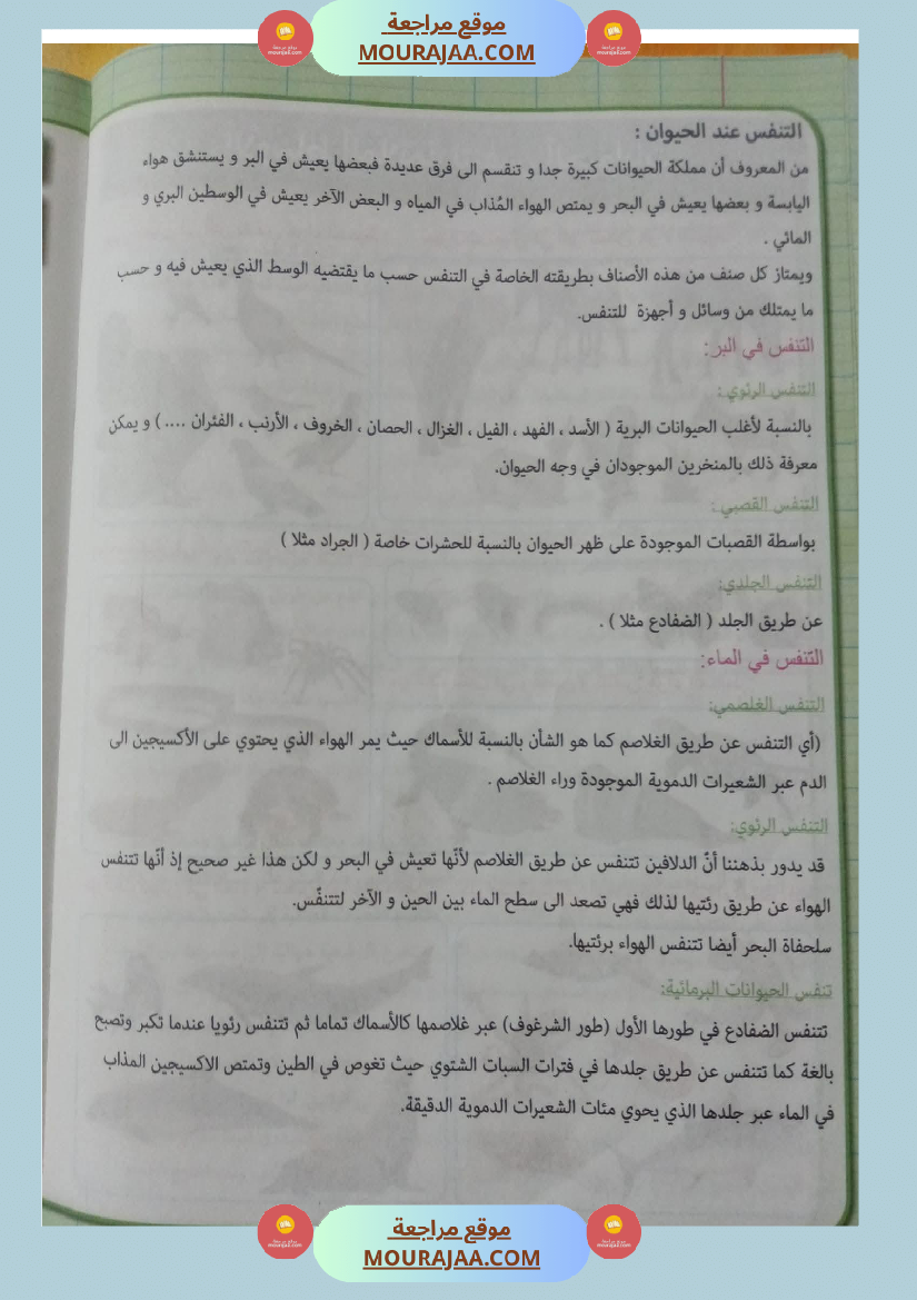 بحوث ايقاظ علمي سنة رابعة