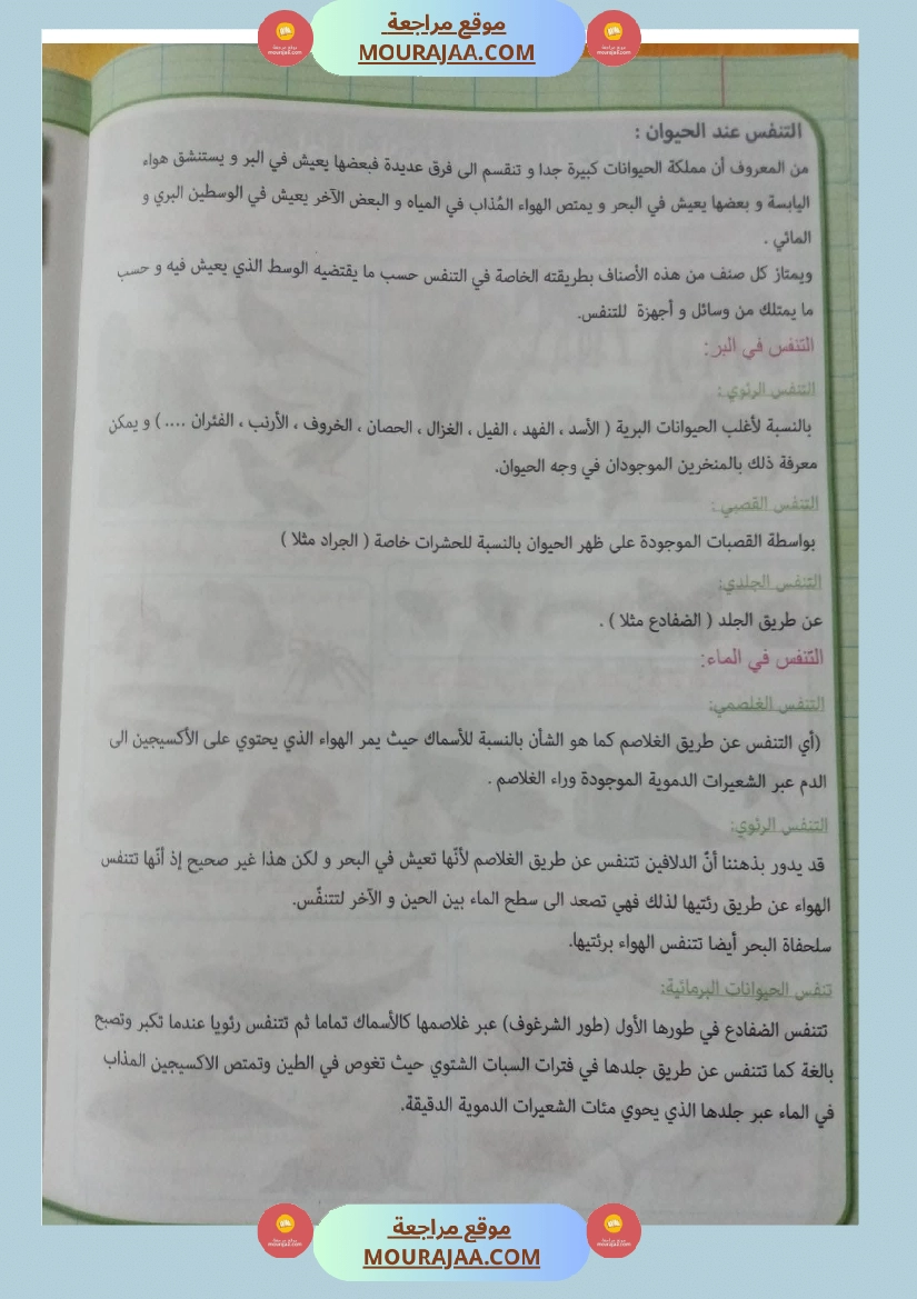 بحوث ايقاظ علمي سنة رابعة صفحة 5