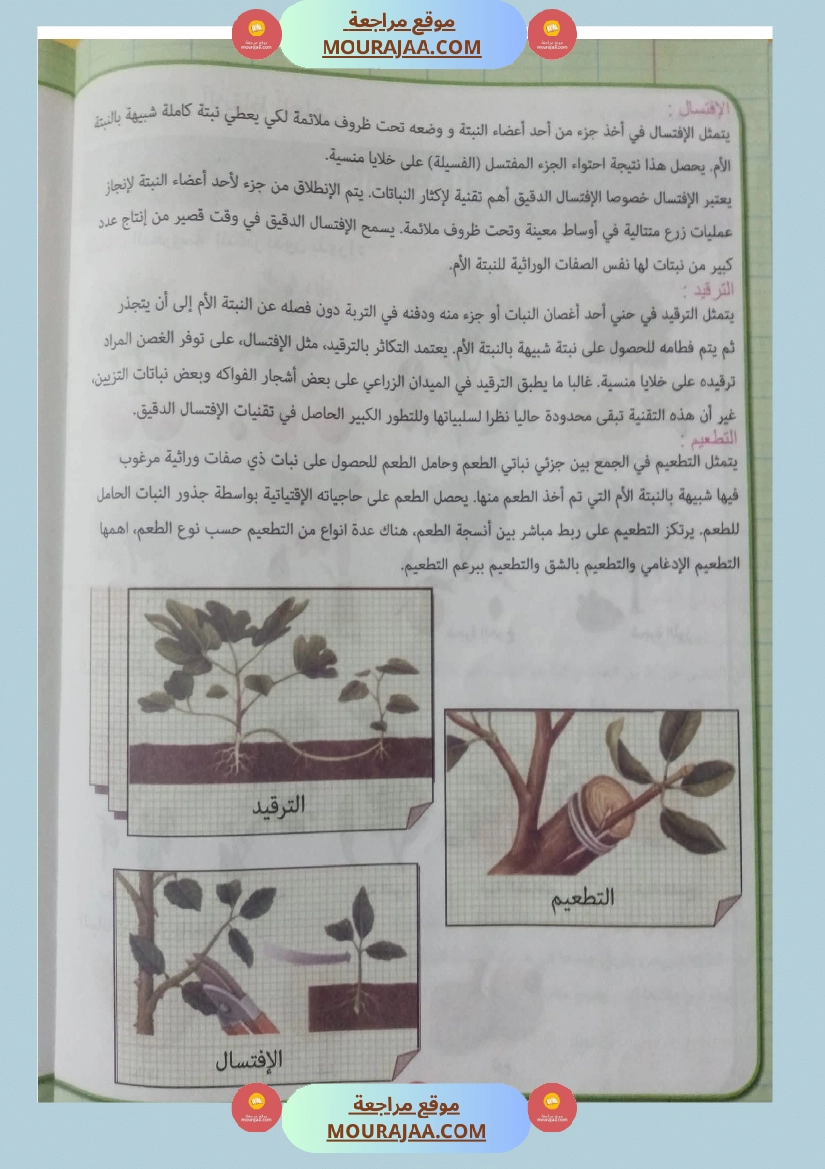 بحوث ايقاظ علمي سنة رابعة صفحة 7