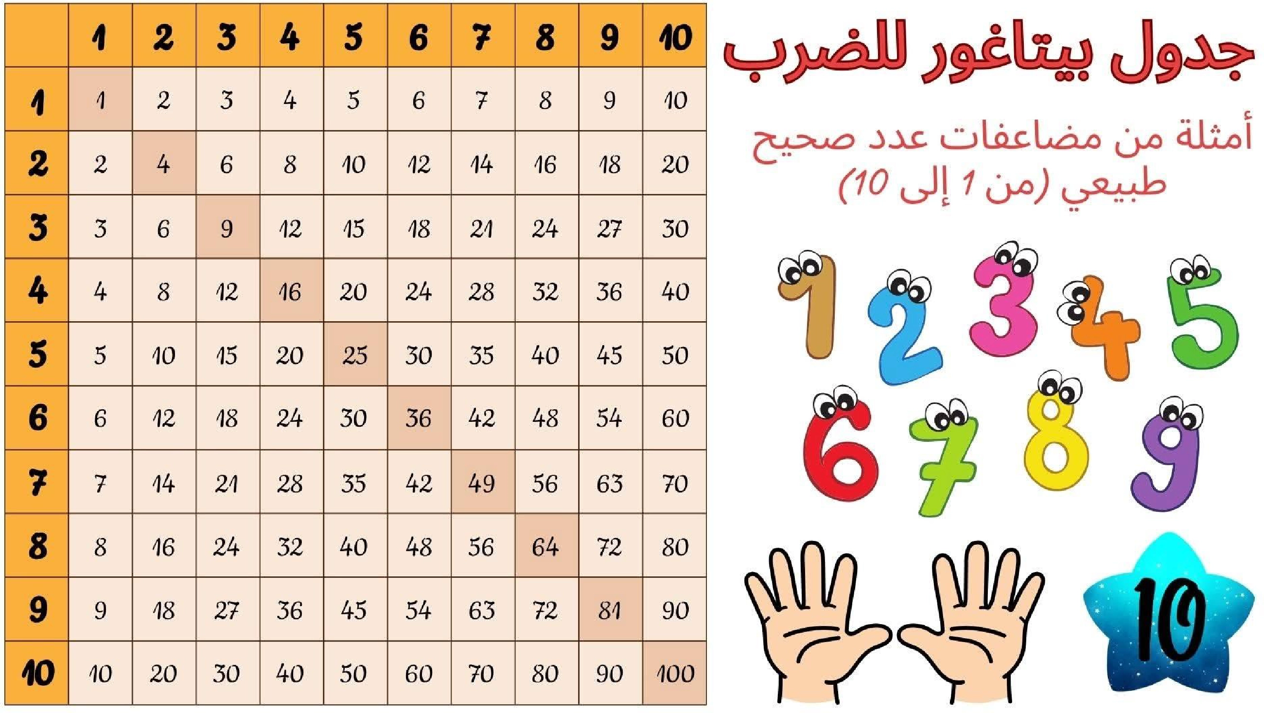 حساب سنة 6 الد رس أتعر ف مضاعفات مشتركة لعددين صحيحين طبيعيين فأكثر صفحة 12