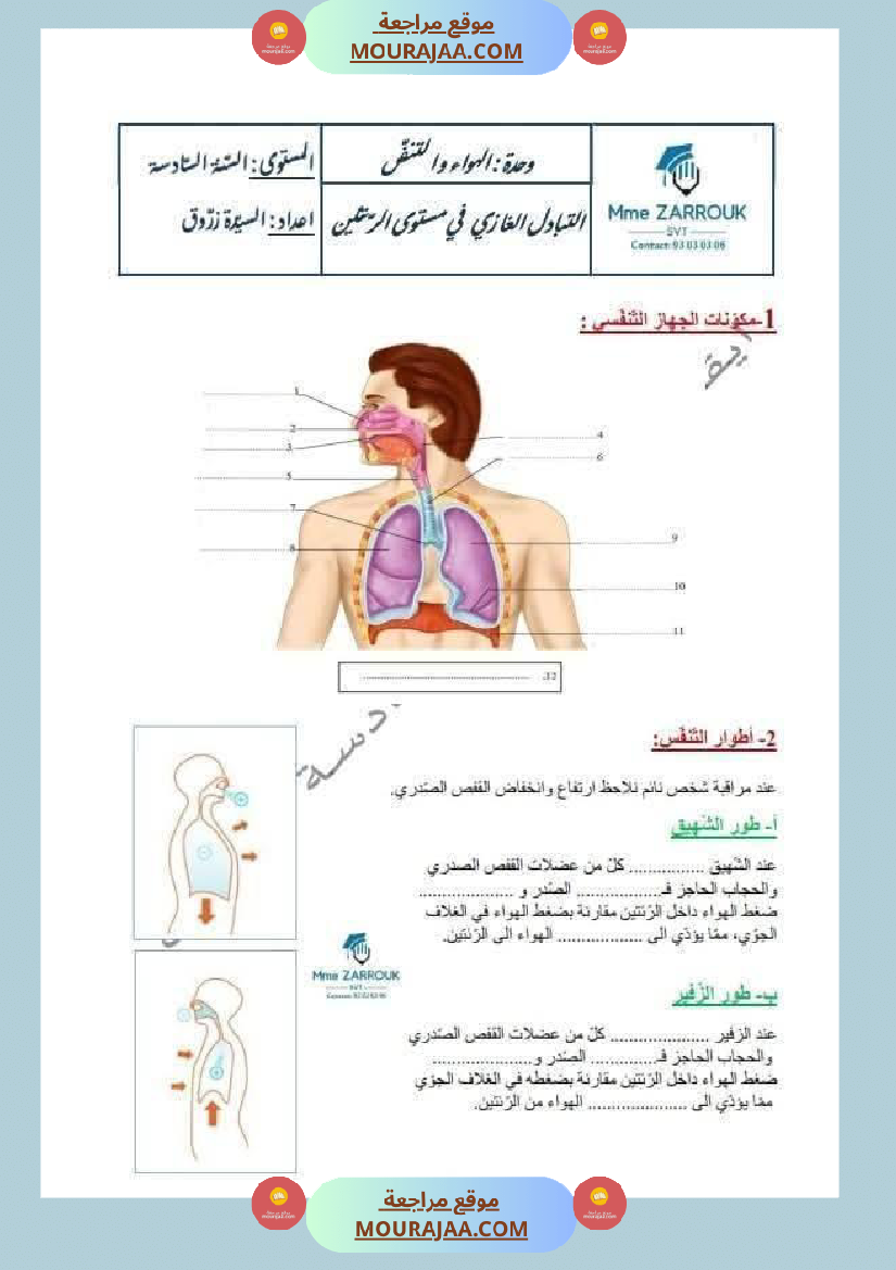 سنة سادسة إيقاظ علمي وحدة الهواء و التنفس درس التبادل الغازي في مستوى الرئتين