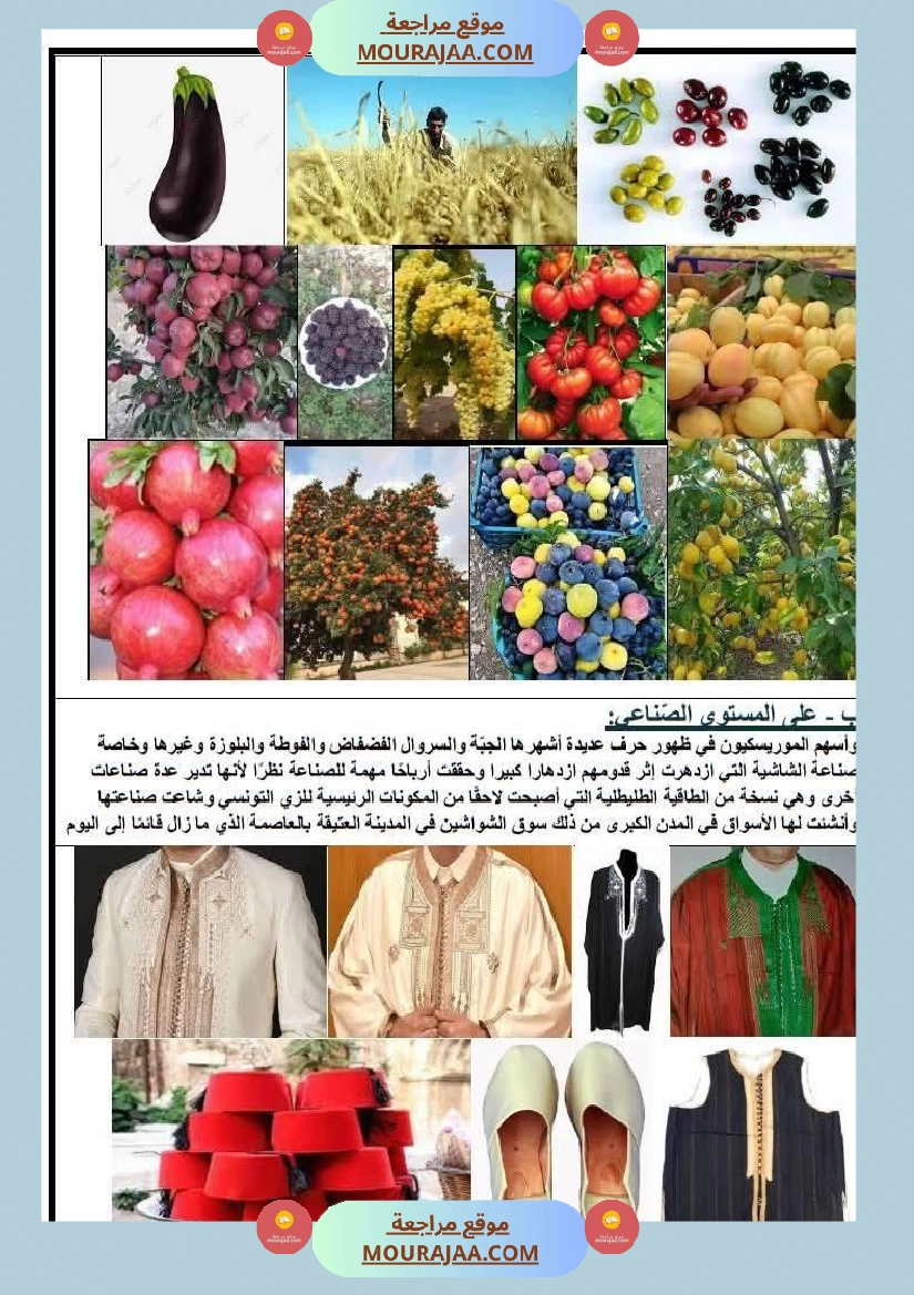 السنة السادسة دروس التاريخ الثلاثي الأول صفحة 17