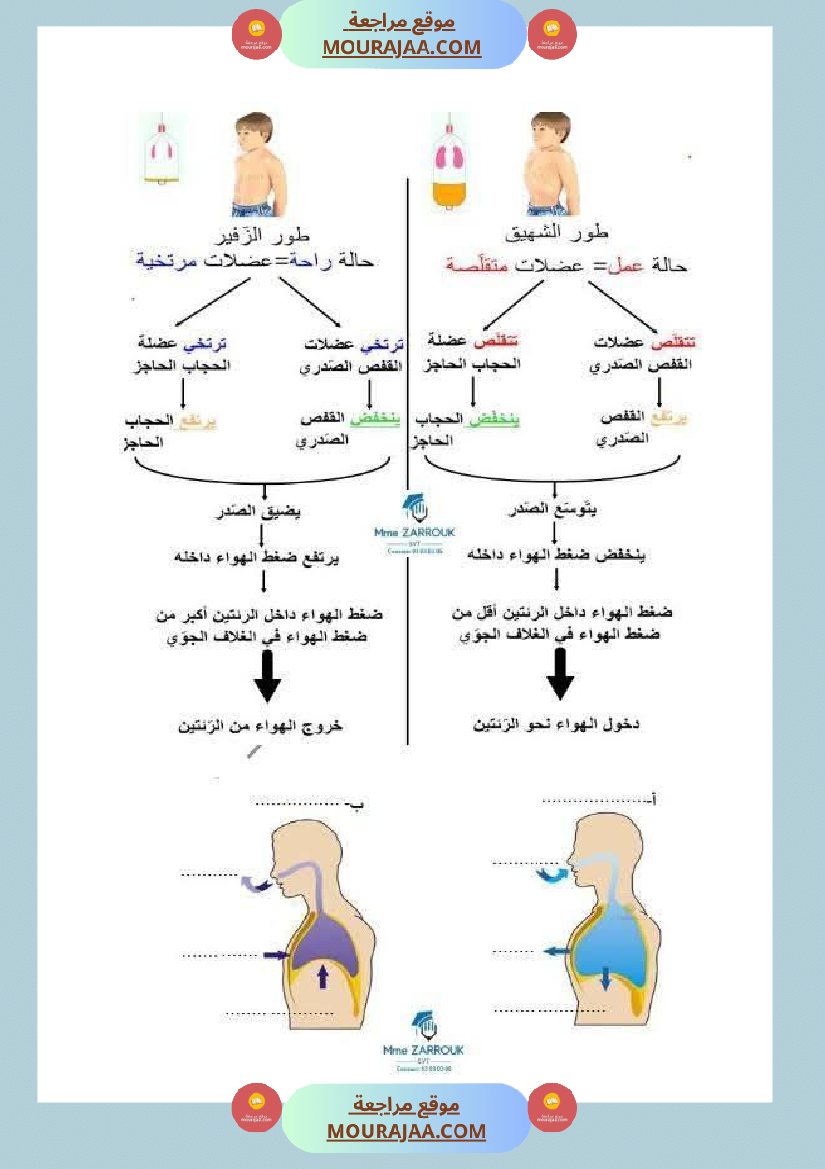 السنة السادسة دروس الإيقاظ العلمي الثلاثي الأول إدماج تقييم دعم وعلاج
