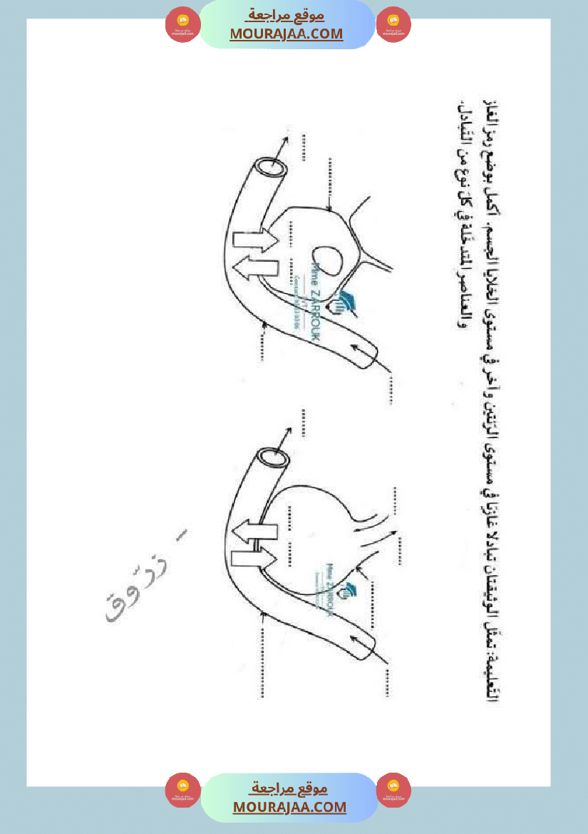 السنة السادسة دروس الإيقاظ العلمي الثلاثي الأول إدماج تقييم دعم وعلاج