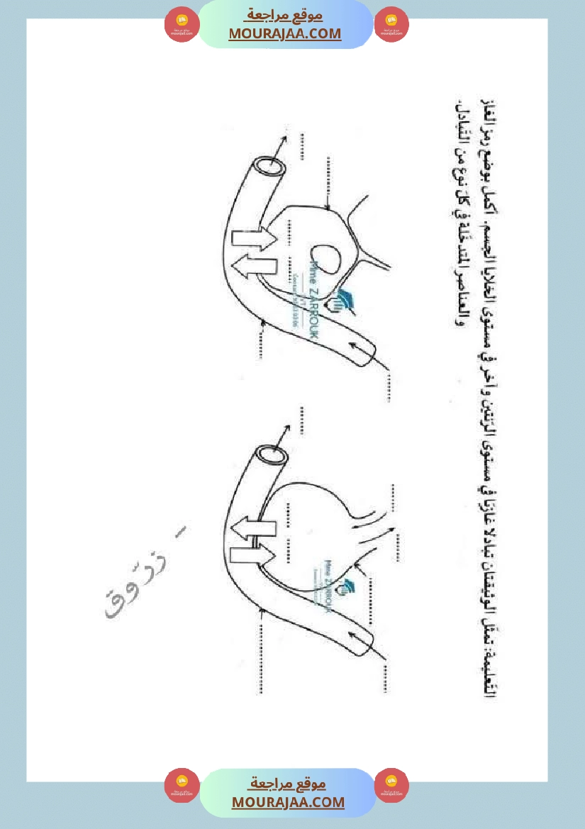 السنة السادسة دروس الإيقاظ العلمي الثلاثي الأول إدماج تقييم دعم وعلاج صفحة 16