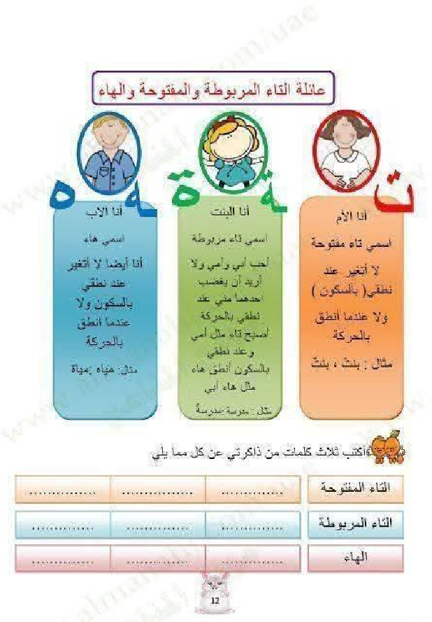كيف نفرق بين التاء المفتوحة والمربوطة شرح مفصل مع تمارين  صفحة 3