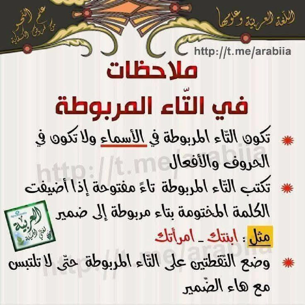 كيف نفرق بين التاء المفتوحة والمربوطة شرح مفصل مع تمارين  صفحة 5