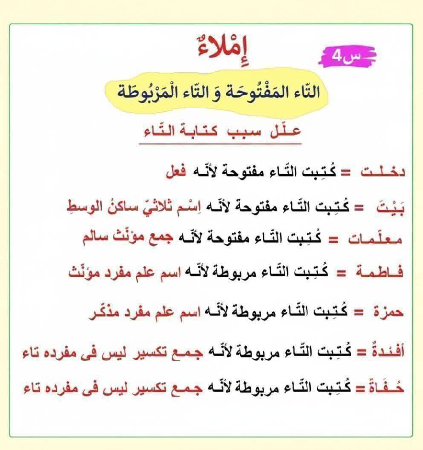 كيف نفرق بين التاء المفتوحة والمربوطة شرح مفصل مع تمارين 