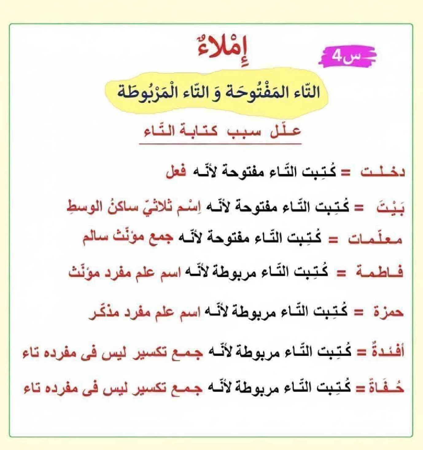 كيف نفرق بين التاء المفتوحة والمربوطة شرح مفصل مع تمارين  صفحة 7