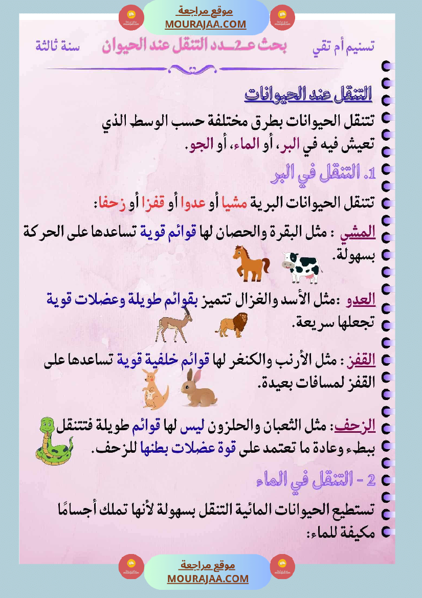 ايقاظ علمي لأبطال السنة الثالثة