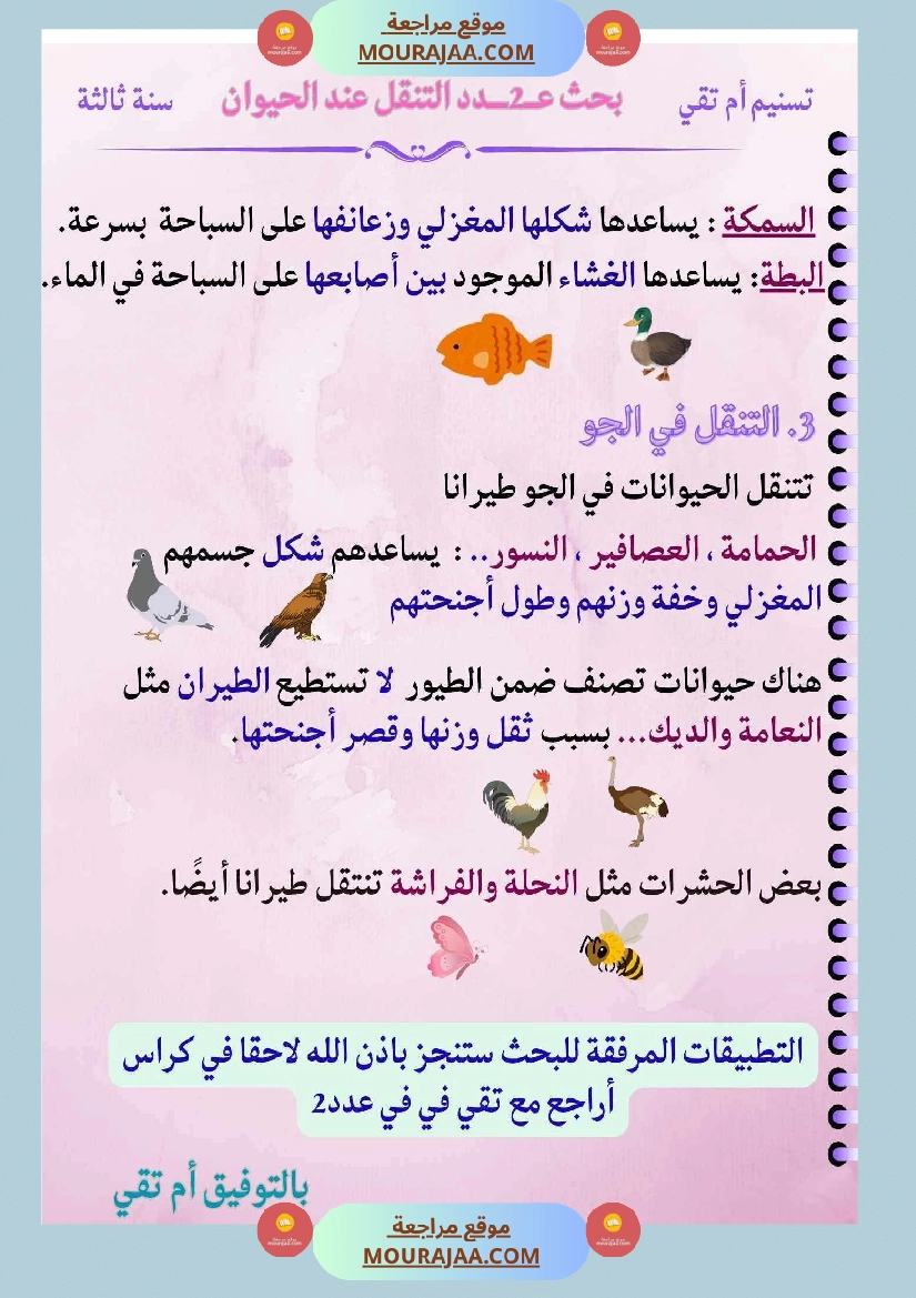 ايقاظ علمي لأبطال السنة الثالثة صفحة 13