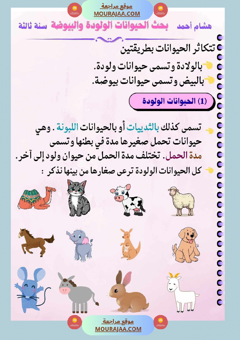 ايقاظ علمي لأبطال السنة الثالثة