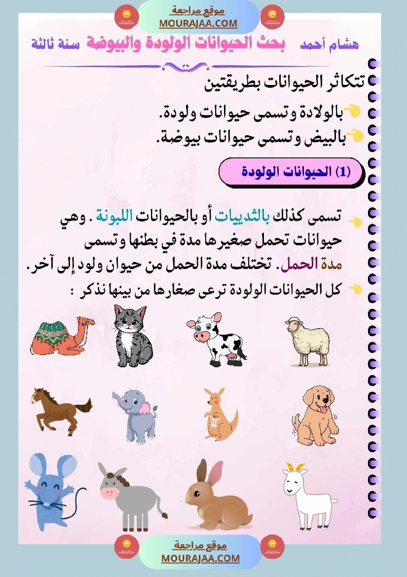 ايقاظ علمي لأبطال السنة الثالثة صفحة 3