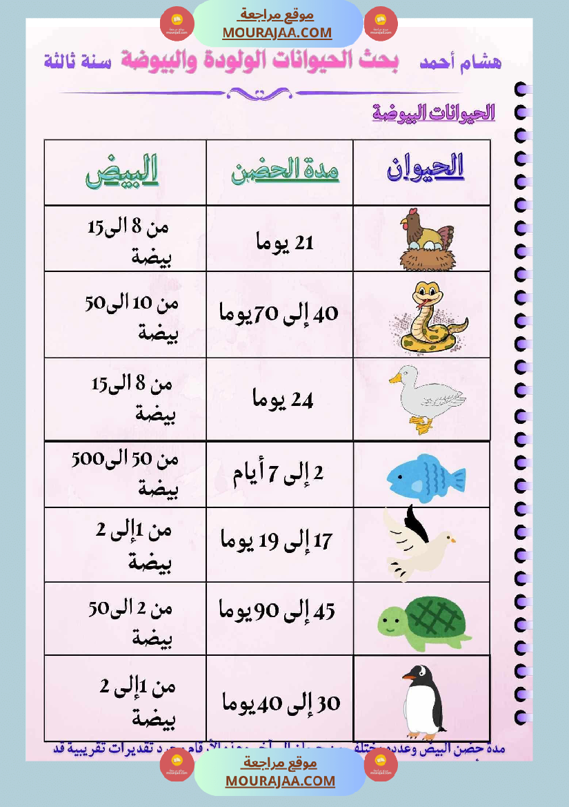 ايقاظ علمي لأبطال السنة الثالثة