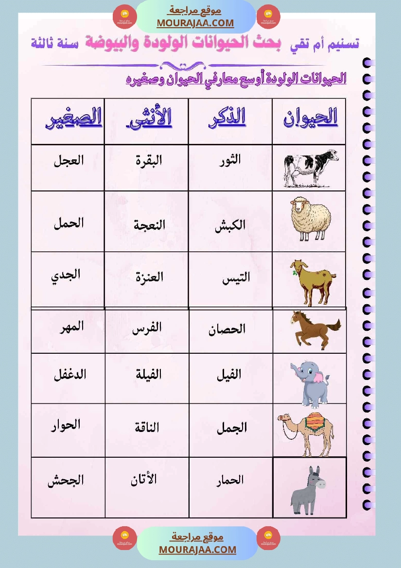 ايقاظ علمي لأبطال السنة الثالثة صفحة 6