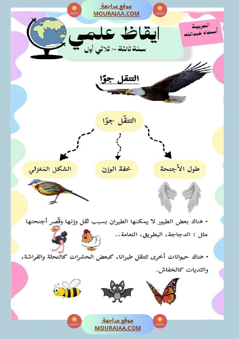 محور التنقل عند الحيوانات السنة الثالثة صفحة 16